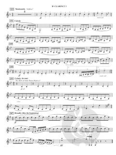 The Hunchback Of Notre Dame (Stephen L. Schwartz) 