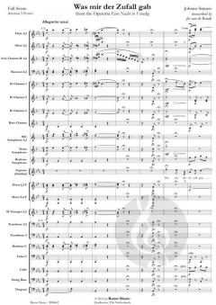 Was mir der Zufall gab (Johann Strauss (Sohn)) 