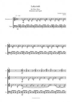 Labyrinth für Flöte, Oboe, Klarinette und Fagott im Alle Noten Shop kaufen