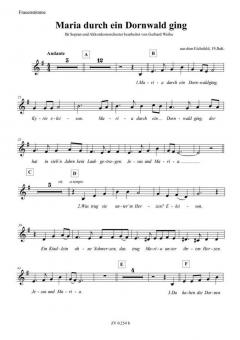 Maria durch ein Dornwald ging 