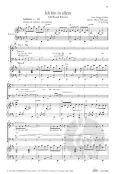 Lichtblicke (Martin Völlinger) 