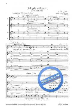 Lichtblicke (Martin Völlinger) 