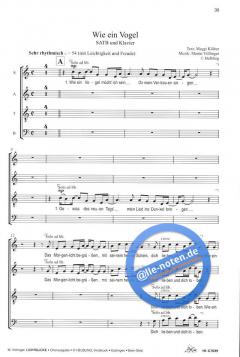 Lichtblicke (Martin Völlinger) 