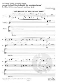 verse sind wohl für die Musick das unentbehrlichste (Helmut Schmidinger) 
