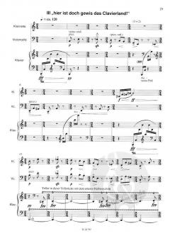 verse sind wohl für die Musick das unentbehrlichste (Helmut Schmidinger) 