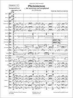 Phenomenon von Narong Prangcharoen 