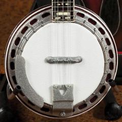 Classic Banjo with Rosewood Back Model von Axe Heaven im Alle Noten Shop kaufen