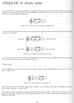 The Essential Guide to Irish Flute and Tin Whistle von Grey Larsen 