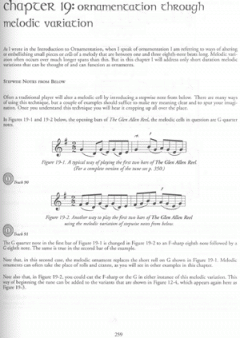 The Essential Guide to Irish Flute and Tin Whistle von Grey Larsen 