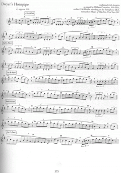 The Essential Guide to Irish Flute and Tin Whistle von Grey Larsen 