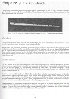 The Essential Guide to Irish Flute and Tin Whistle von Grey Larsen 