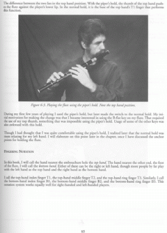 The Essential Guide to Irish Flute and Tin Whistle von Grey Larsen 