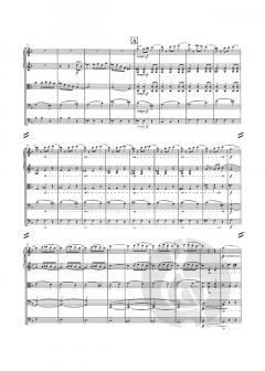 Suite for String Orchestra Op. 1 von Carl Nielsen 