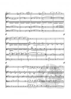 Suite for String Orchestra Op. 1 von Carl Nielsen 