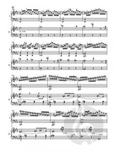 Klavierkonzert c-moll KV 491 von Wolfgang Amadeus Mozart im Alle Noten Shop kaufen