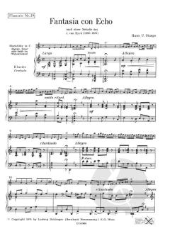 Fantasia con Echo (Hans Ulrich Staeps) 