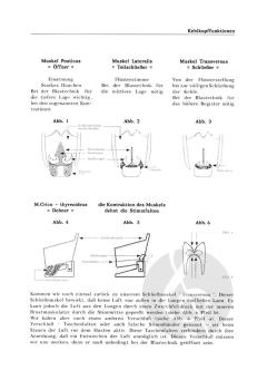 Die Kunst der Blastechnik von Hans-Jürgen von der Wöste 