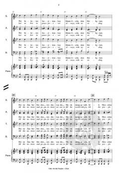 Ode 'An die Freude' (Ludwig van Beethoven) 