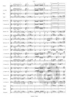 Euphoria (Martin Scharnagl) 