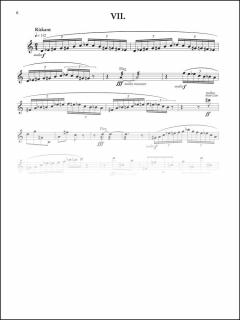 Gedankensplitter von Friedrich Cerha 