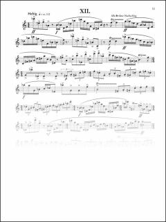 Gedankensplitter von Friedrich Cerha 