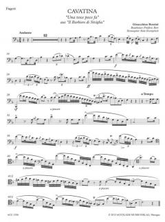 Cavatina 'Una voce poco fa' (Friedrich Berr) 