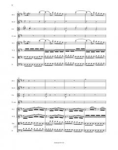 6 Solokonzerte für Violine, Flöte und Fagott 