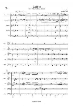 Gallito (Santiago Lope) 