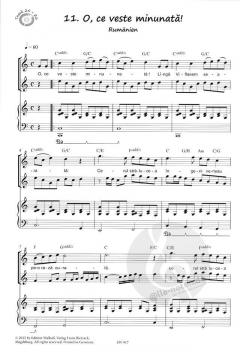 Europa für Anfänger Band 1 