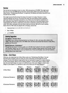 Sitting In: Blues Guitar von Jared Meeker 