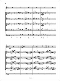 Konzert c-moll (Nicola Fiorenza) 