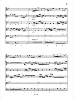 Konzert c-moll (Nicola Fiorenza) 