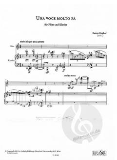 Una voce molto fa von Rainer Bischof 