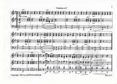 Marcha argentina (Adi Rinner) 