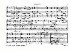 Marcha argentina (Adi Rinner) 