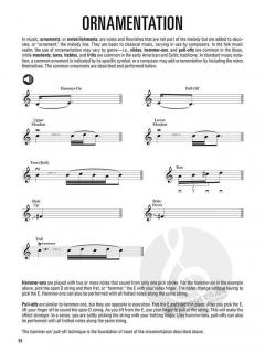 Hal Leonard Mandolin Method Book 2 im Alle Noten Shop kaufen