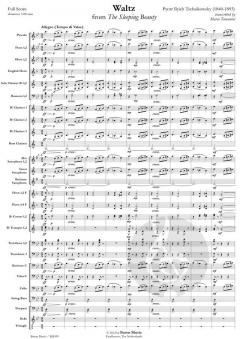 Waltz from 'The Sleeping Beauty' (Pjotr Iljitsch Tschaikowski) 