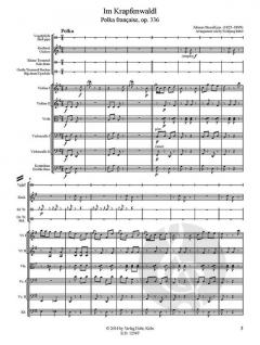 Im Krapfenwaldl op. 336 von Johann Strauss (Sohn) 