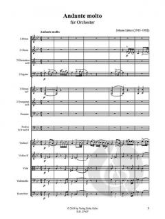 Andante molto von Johann Lütter für Orchester im Alle Noten Shop kaufen (Partitur)