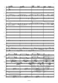 Die Seejungfrau von Alexander von Zemlinsky 