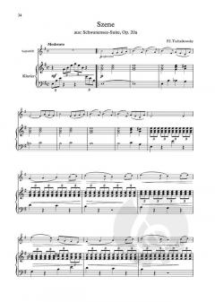 Meisterwerke der Musikgeschichte 