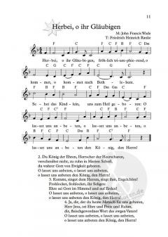 Die schönsten Winter- und Weihnachtslieder Band 2 