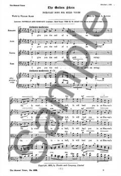 The Golden Skein von Edgar L. Bainton 