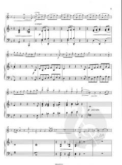 Concertino d-moll op. 9 von Leo Portnoff für Violine und Klavier im Alle Noten Shop kaufen