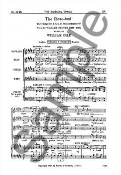 The Rose-Bud von William Cole 