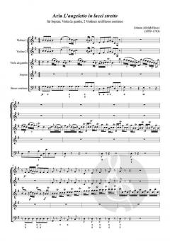 Aria 'L'augeletto in lacci stretta' von Johann Adolf Hasse 