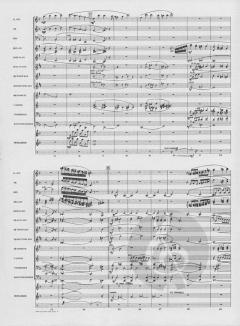 When You Wish Upon A Star 