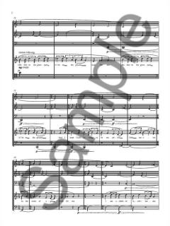 Look For Me von Nico Muhly für Holzbläser Quintett im Alle Noten Shop kaufen