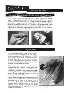 Armonica Blues + CD von Rob Fletcher 