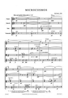 Microcosmos von Ole Buck 